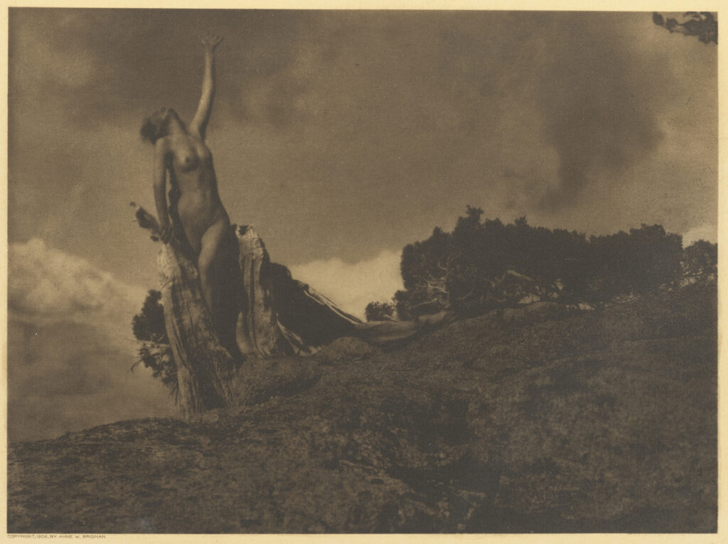 Anne Brigman, Soul of Blasted Pine Photograph