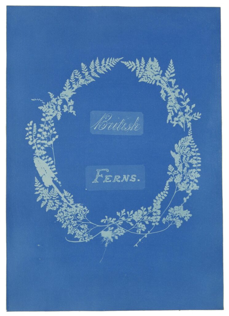 5 Artists who Celebrate the Cyanotype - Hundred Heroines