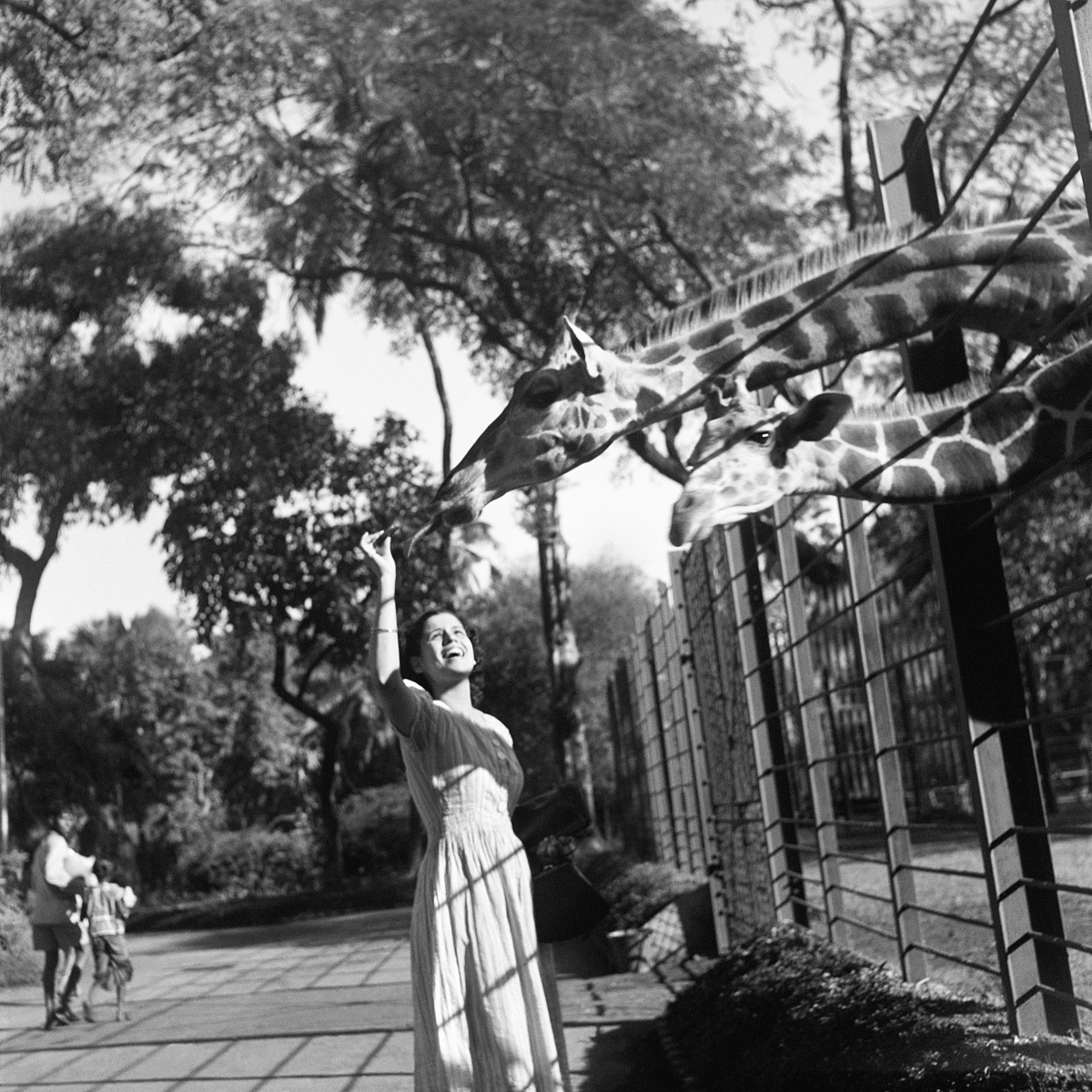 The Bombay Zoo, Late 1930s, Homai Vyarawalla. A woman is seen feeding giraffes at a zoo, she's smiling and wearing a light dress. Image is black and white.
