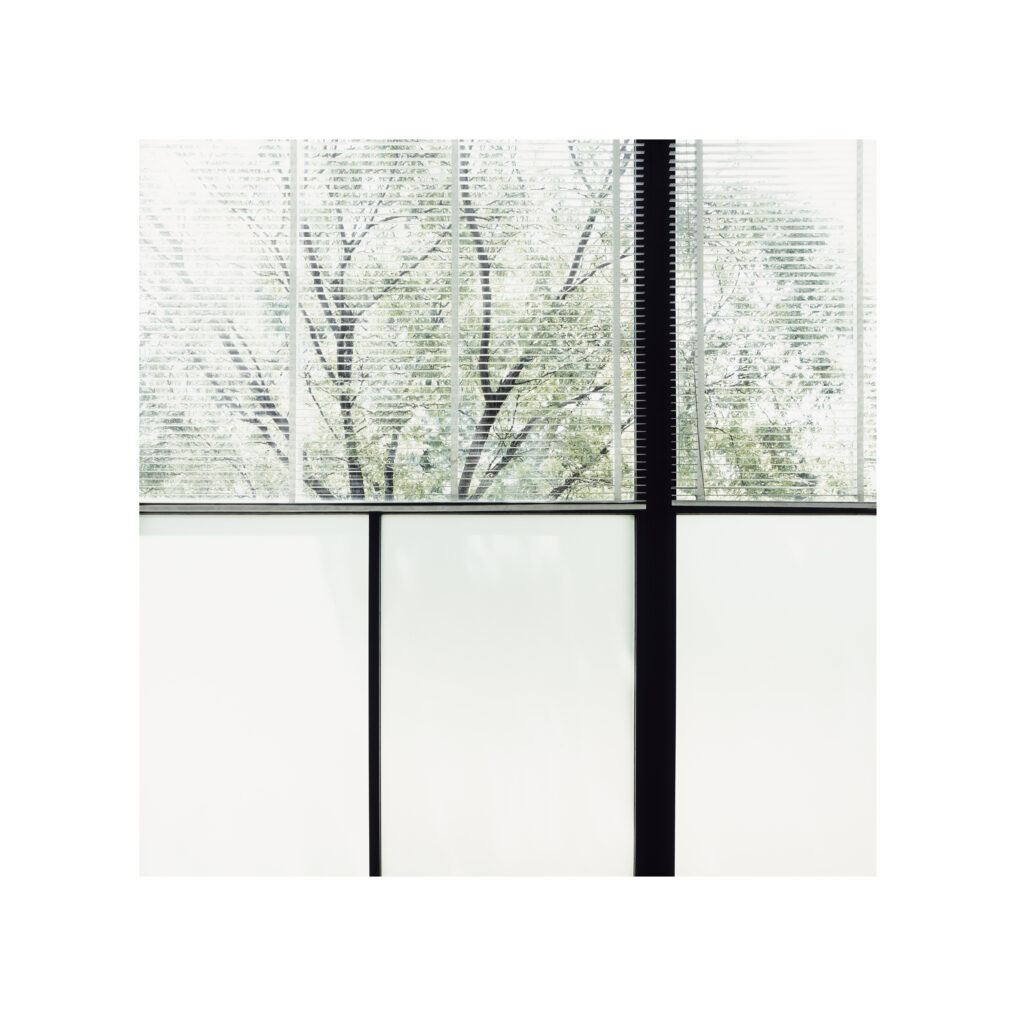 As part of the Autoritratto exhibition by Luisa Lambri, an image of a tree on the other side of a window with venetian blinds