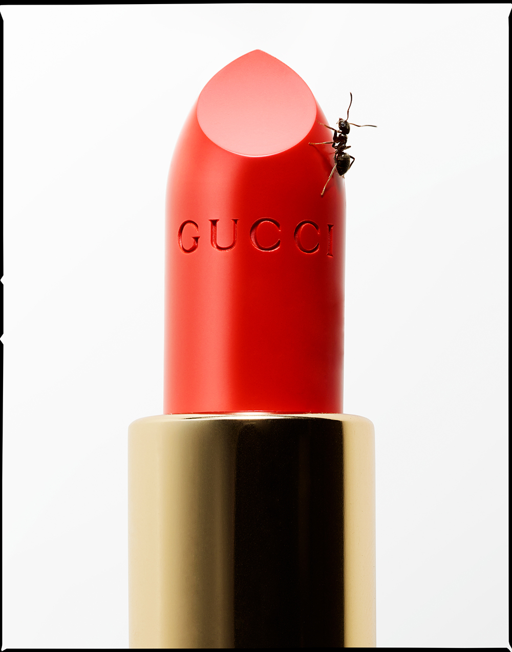 Gucci and the Beast Lipstick © Jessica Griffiths