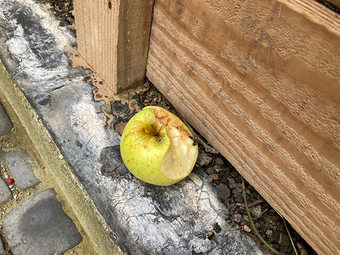 Half-eaten apple on Henry Road © Caroline Gannon Women_In_Photography_Hundred_Heroines