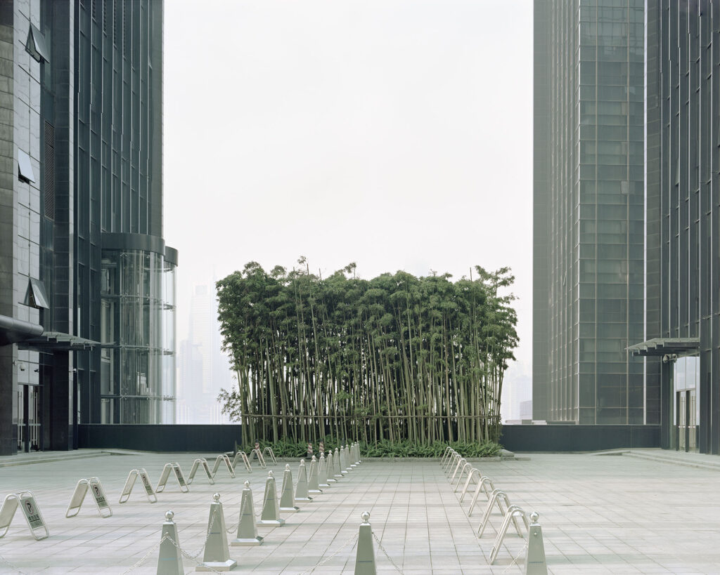 Jiangbeizui Central Business District, Chongqing, China, 2017 (14). From Forest series (2010-2017). ©Yan Wang Preston.