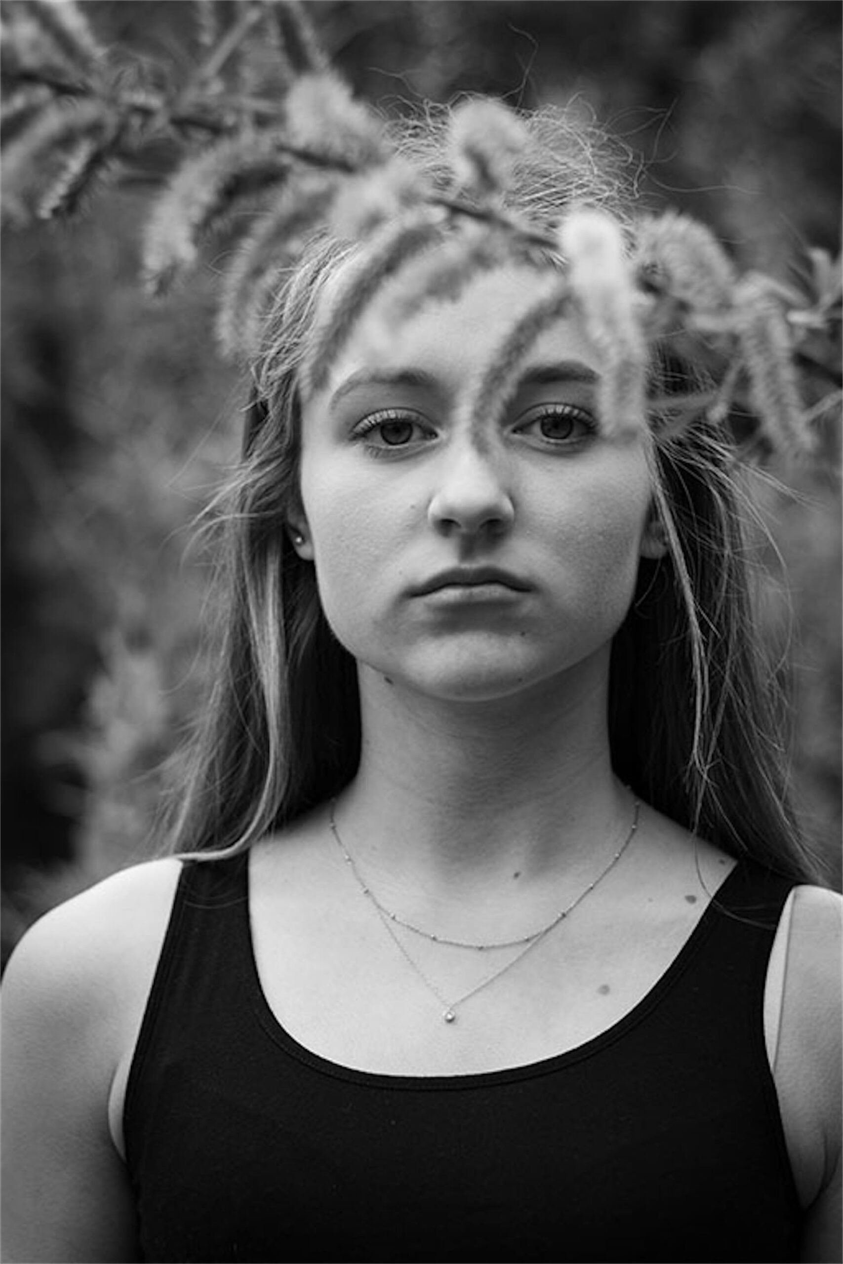 Francesca Provenzano Gallery Hundred Heroines