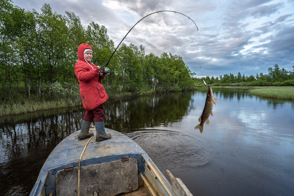 A young Saami girl holds a fishing pole, which is bent beneath the weight of the fish which dangles from the line. She stands at the front of a boat on a lake.