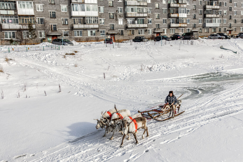 A reindeer herder, Igor Chuprov, speeds on his sled past residential buildings in the village of Lovozero.