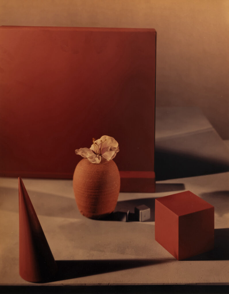 Abstract image depicting a white flower in a stout orange vase, surrounded by red 3D shapes.