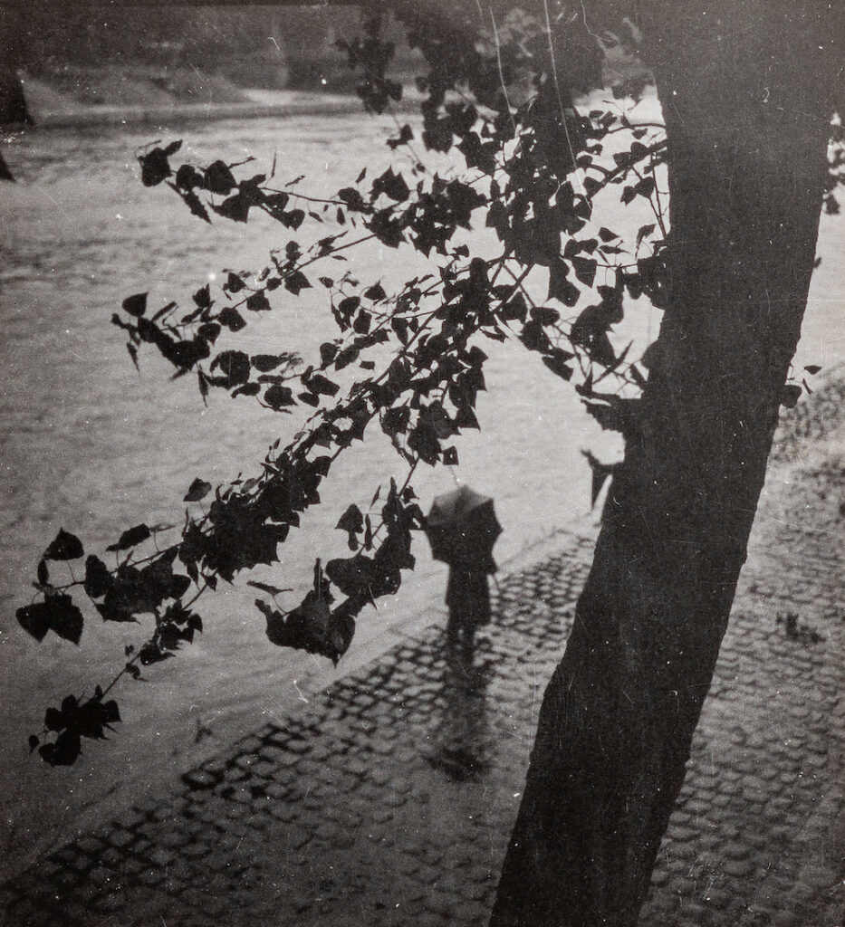 Black and white photograph of a person walking down a cobbled street with an umbrella. Leaves hang from a nearby tree.