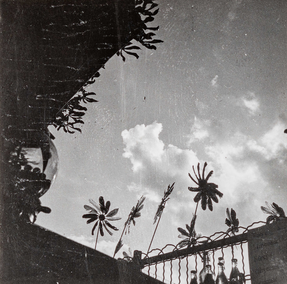 Contact Prints: Dora Maar - Hundred Heroines