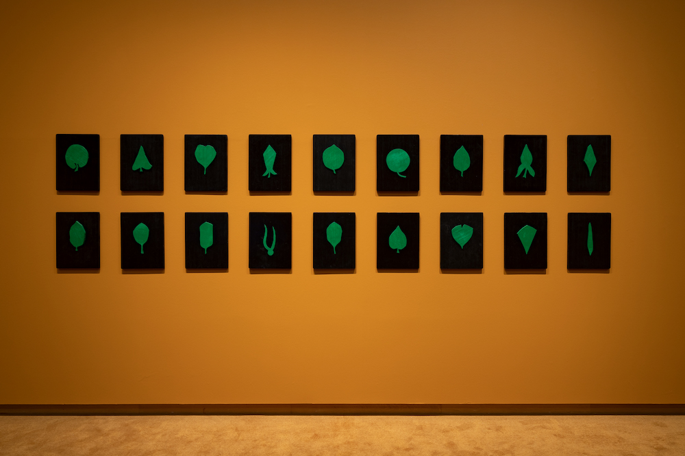 Installation image depicting green leaf shapes on black backgrounds. The images are hanging on an orange wall.