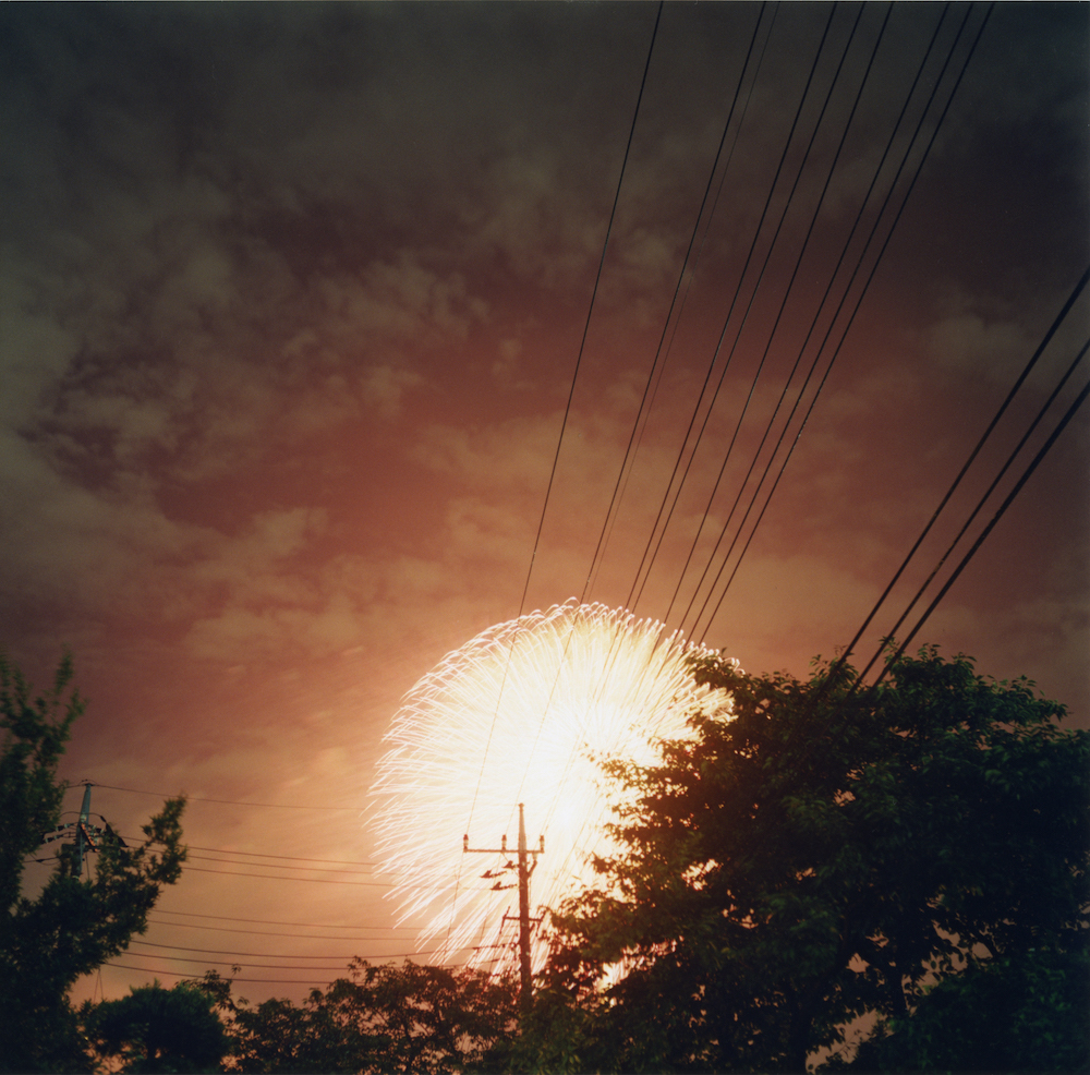 Colour photograph depicting a round, orange firework bursting in the sky behind trees and a telegraph pole.