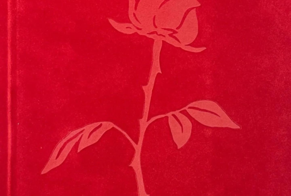 Colour image showing the cover of HER OWN. The cover is red velvet with an embossed rose illustration.