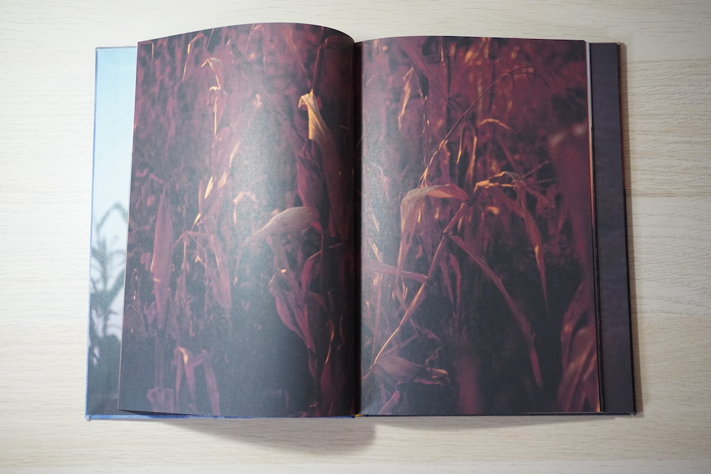 Double page spread. Red toned photograph of dry grass.