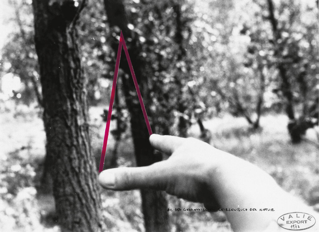 Black and white photo. A hand reaches out towards some trees. A purple line is drawn on the image, mimicking the gap between the thumb and first finger.