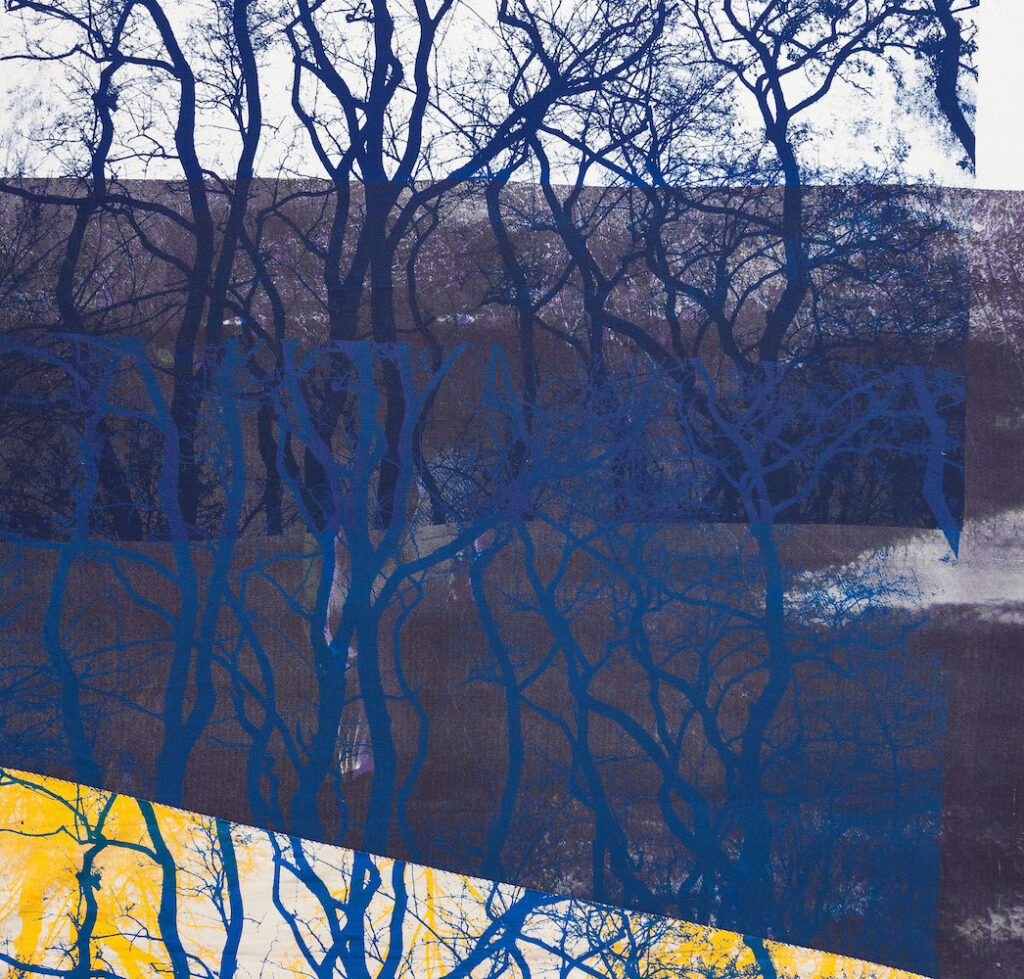 Colour image. A blue silhouette of trees lies over a black and white landscape photograph. In the bottom left corner, the black and white image turns yellow.