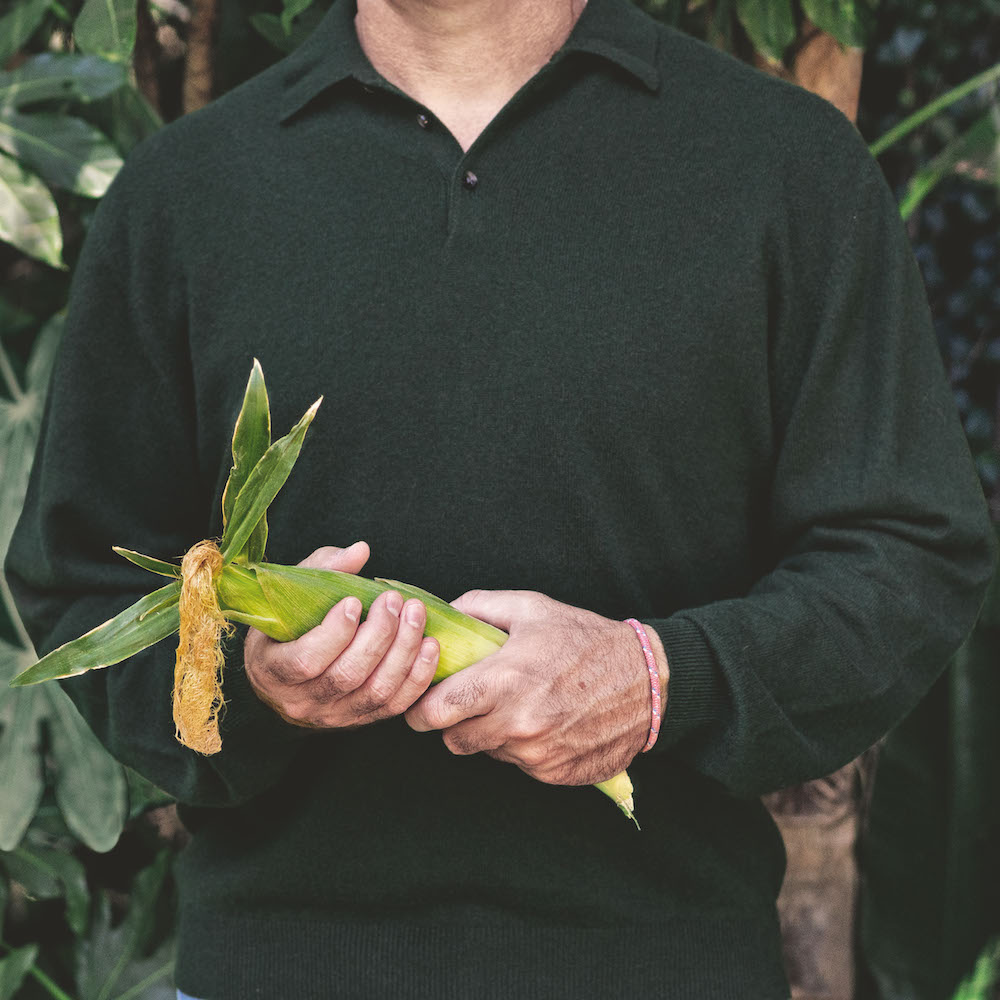 Colour photograph. A person wearing a black jumper holds a sweetcorn wrapped in light green leaves.