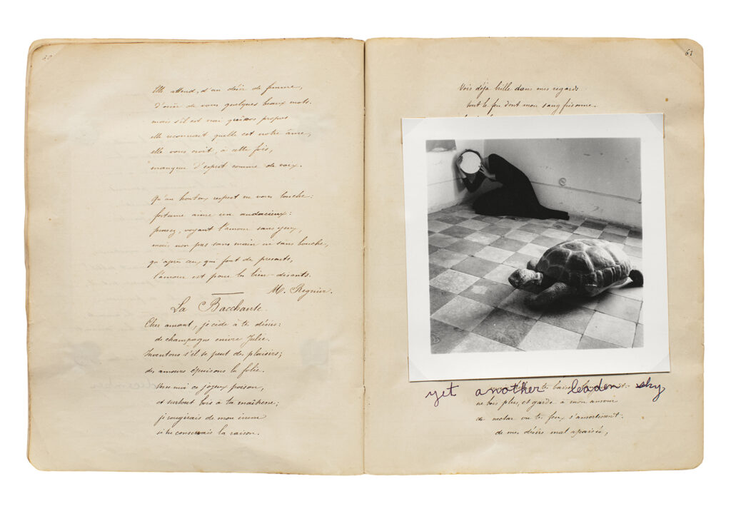 Double page spread of a lined notebook. On the right side page is a square, black and white photograph of a woman crouched with a mirror over her face, looking towards a tortoise.