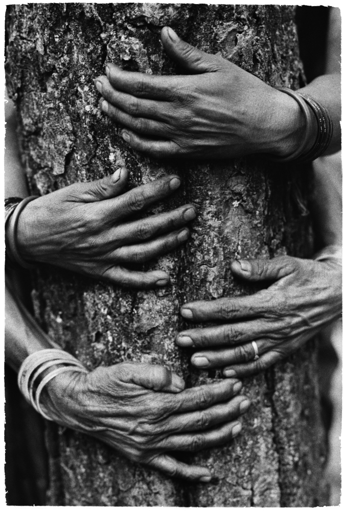 Black and white photograph of hands around a tree; close up.
