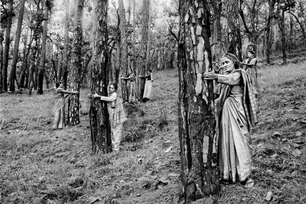 Black and white photo of women hugging trees.