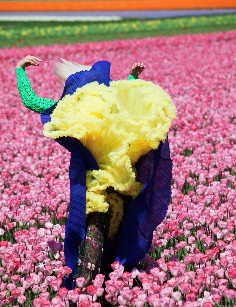 Yellow and blue fabric which obscures the wearer blooms in a field of pink flowers.