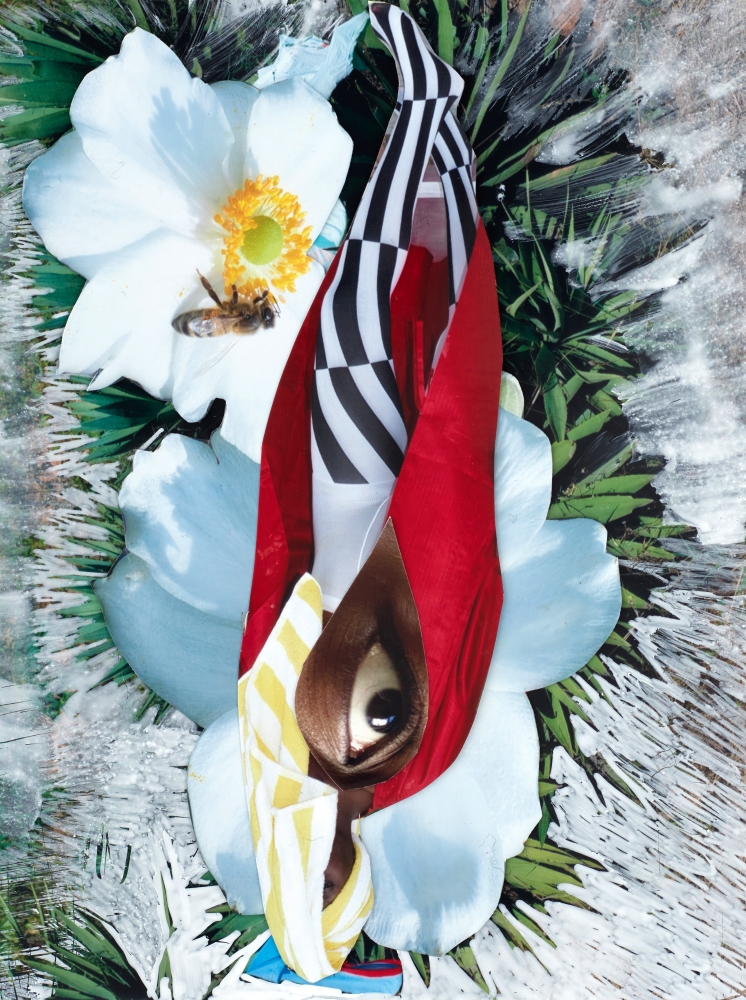 Collage image. A person wearing white and black stockings and a red shawl lies upon a background of white flowers. An eye is overlaid, comprising the person's torso.