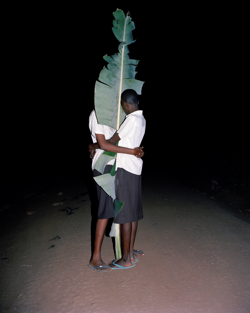 Two people embrace at night, a tall leaf reaching out from between them.