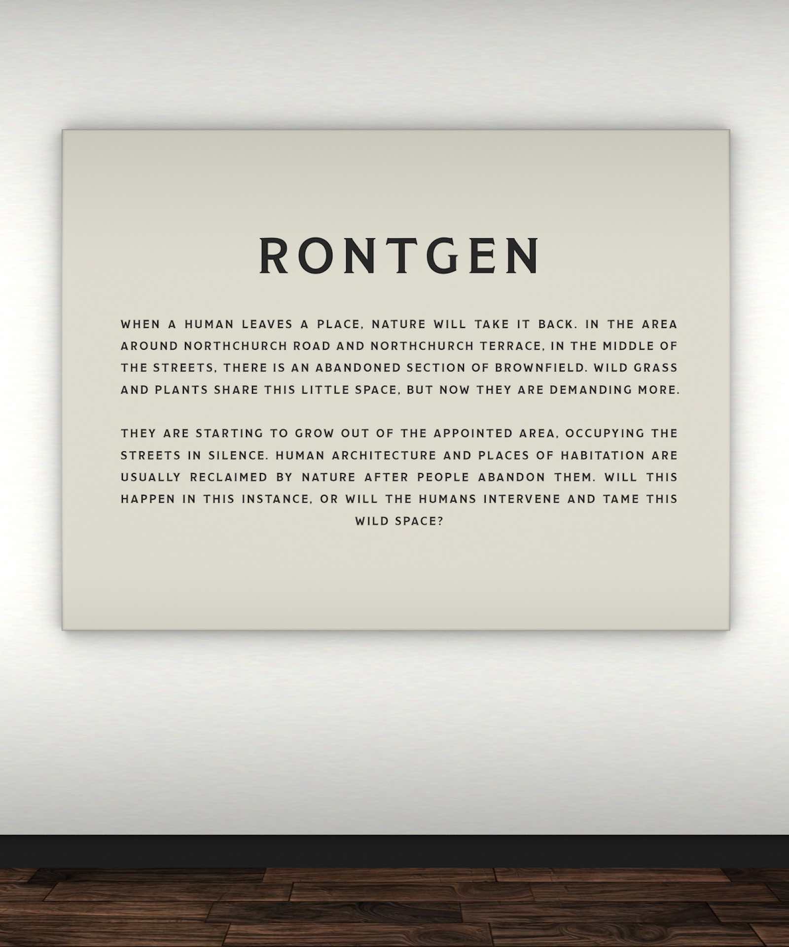 Rontgen Box Rontgen Gallery - Hundred Heroines