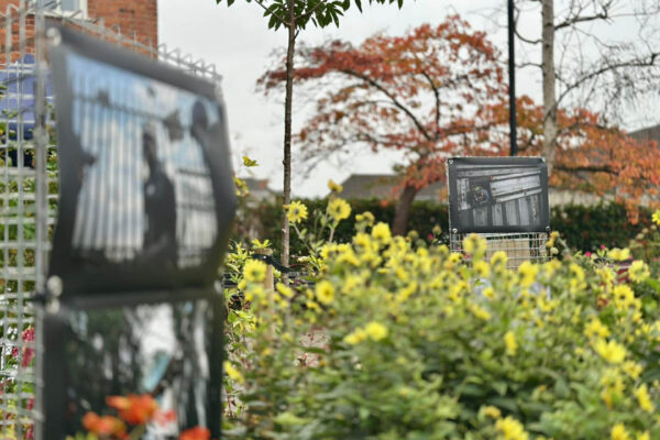 Art Garden